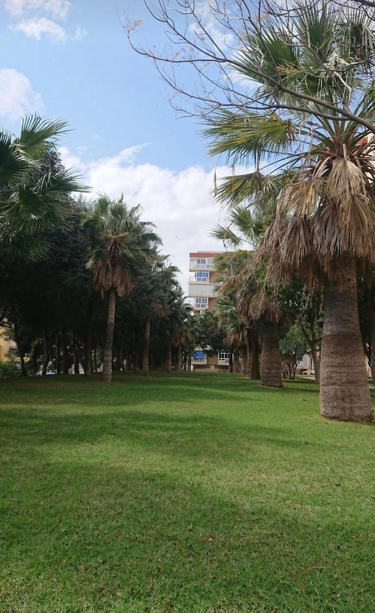 Hercules Paradise 531 Apartamento Con Vistas Al Mar Mediterraneo En Benalmadena A Pasos Del Centro Y Su Vibrante Zona Comercial Disfruta De Una Experiencia Unica En La Costa Del Sol Malaga Andalucia Well-Connected To The Airport Extérieur photo